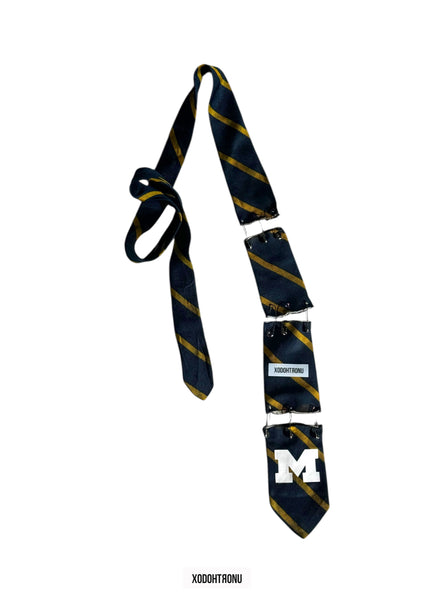 BT- Max Tie "Go Blue" Michigan