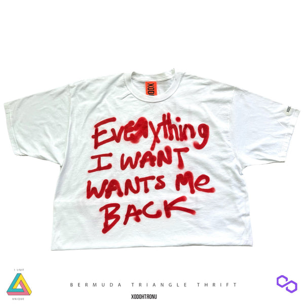 BT- Everything I want Tee