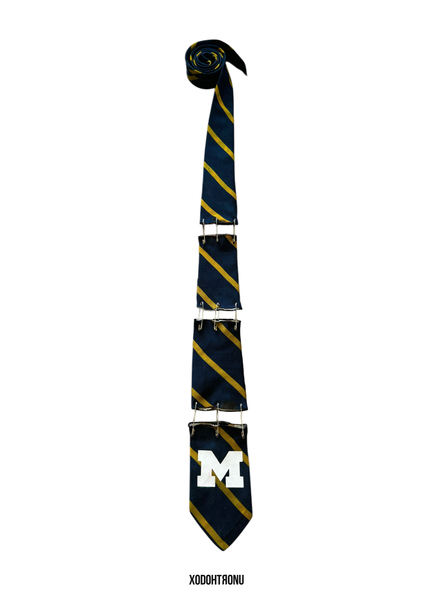 BT- Max Tie "Go Blue" Michigan