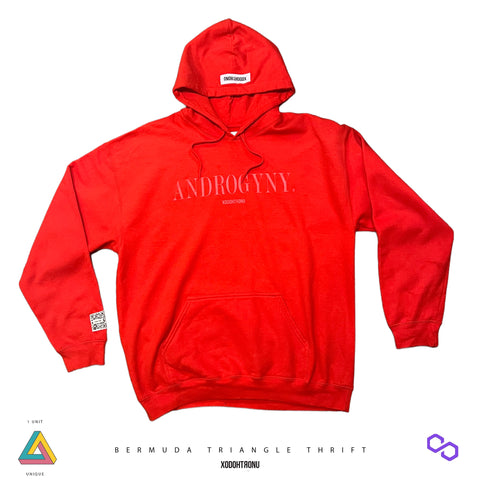BT- The Legends Hoodie ft. Champion - [Small] R14