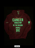 PINK OUT Anita Prince Hoodie - [X.II.MMI] GLOW IN THE DARK logos [VAULT]