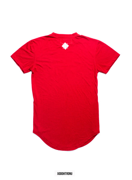 BT- Red box logo extendo [small] R8