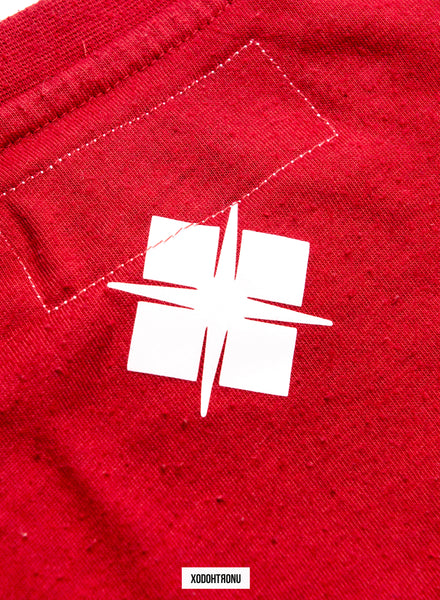 BT- Red box logo extendo [small] R8